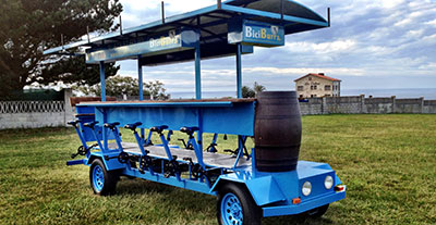 Biciburra